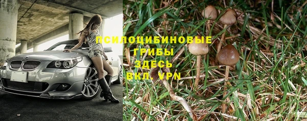 ешки Нягань