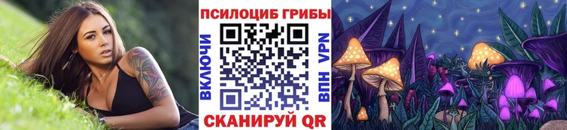Псилоцибиновые грибы Psilocybe  Альметьевск 